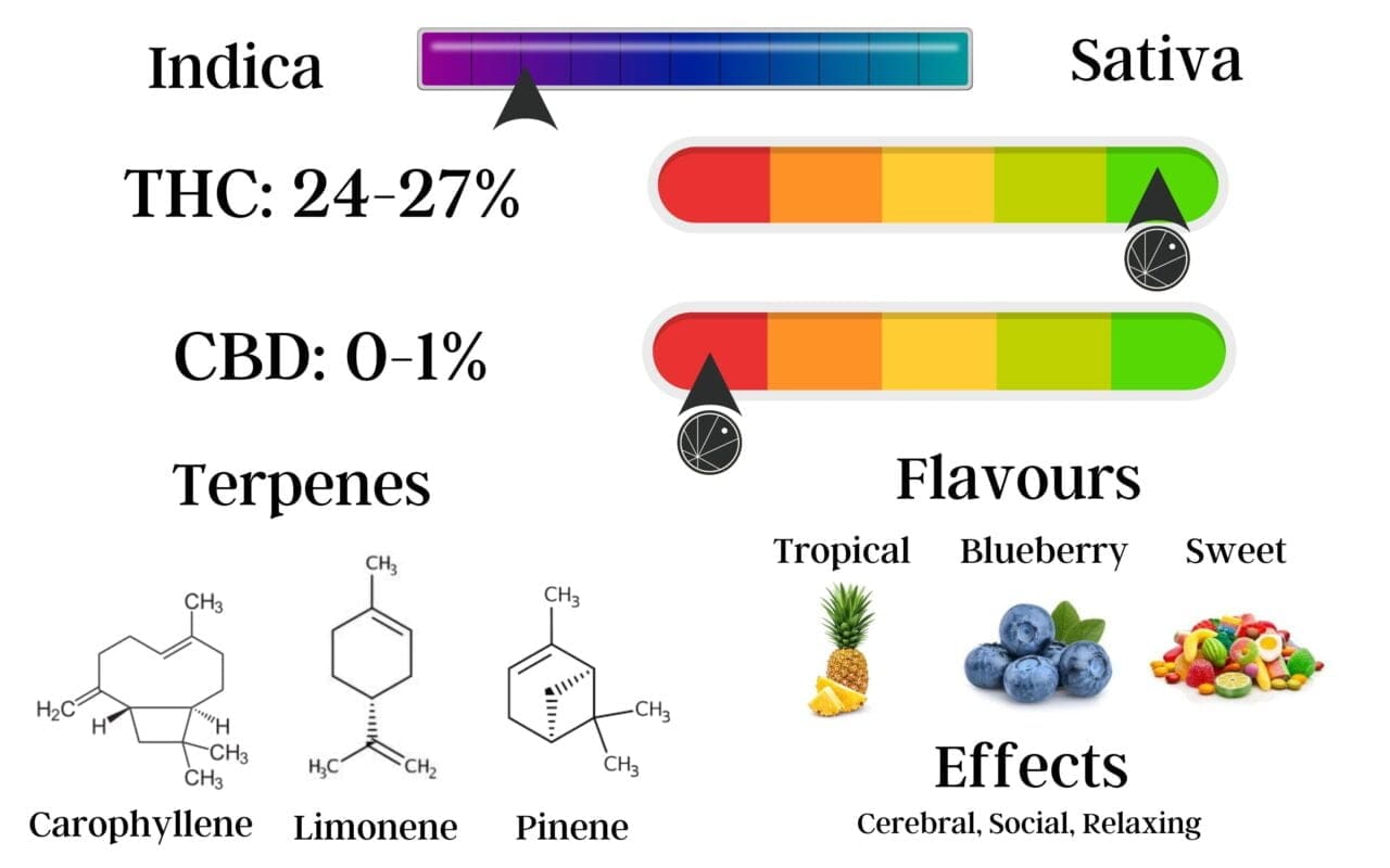 blueberry space cake cannabis strain information