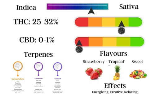 Strawberry Runtz Strain Information