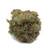 Blue Cheese