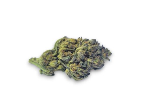 amnesia haze