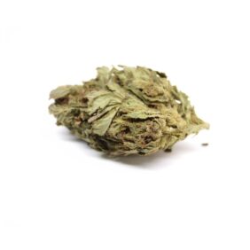 Fruity Kick