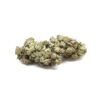 White Rhino