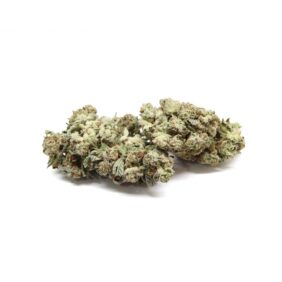 White Rhino